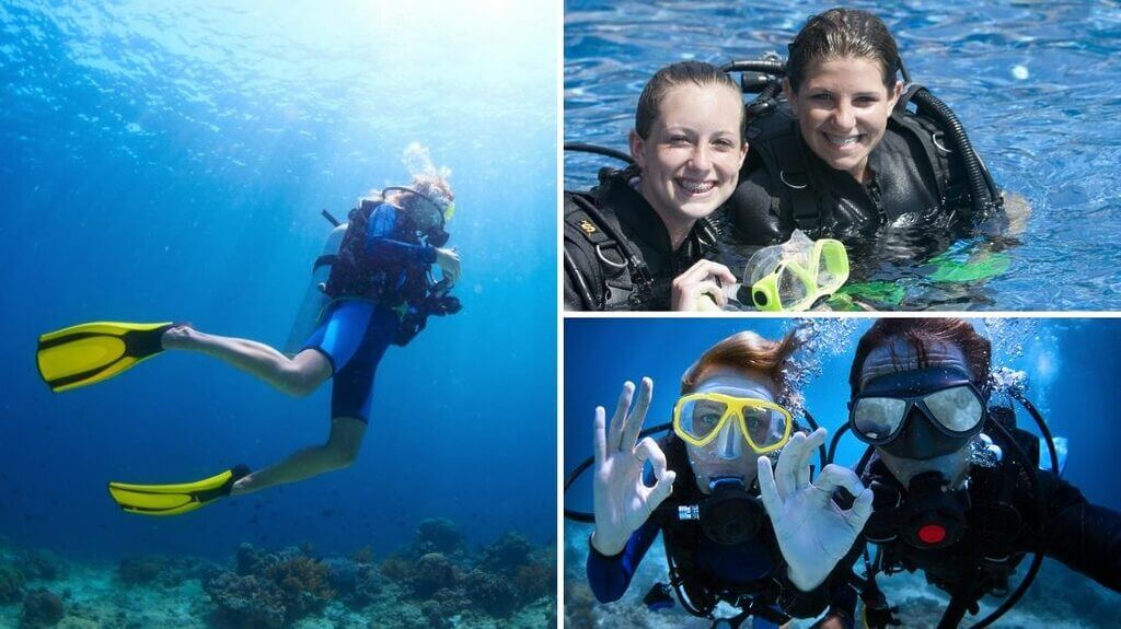Courses - Spanish and Diving