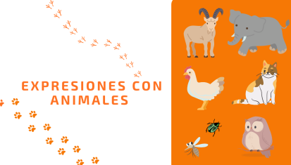 Instituto Hispánico de Murcia - Expressions idiomatiques avec des animaux