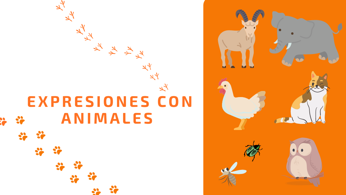 Instituto Hispánico de Murcia - تعابير اصطلاحية مع الحيوانات