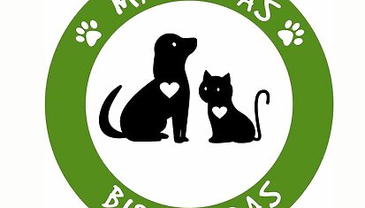 Instituto Hispánico de Murcia - Pet friendly | Mascotas bienvenidas
