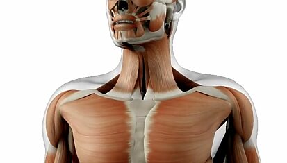 Instituto Hispánico de Murcia - Español + Grado en Anatomía Patológica y Citodiagnóstico